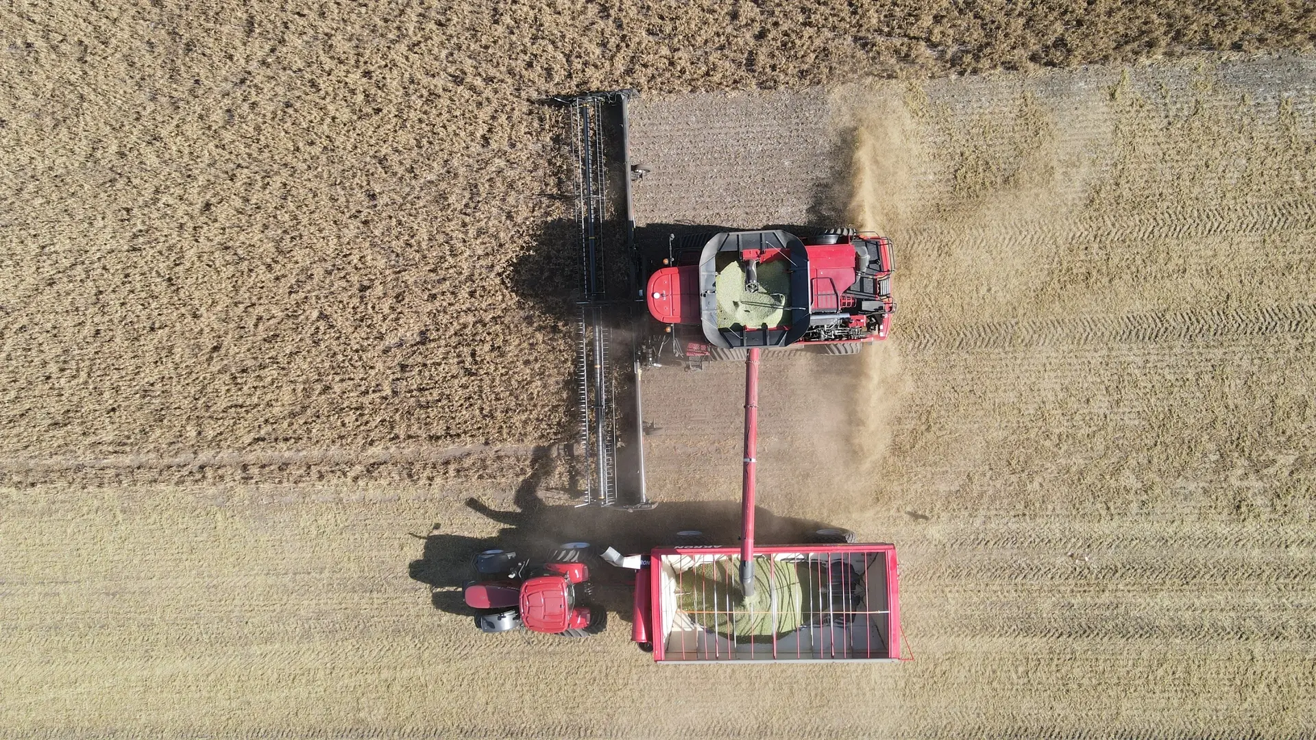 Foto de campo y tractor en funcionamiento.